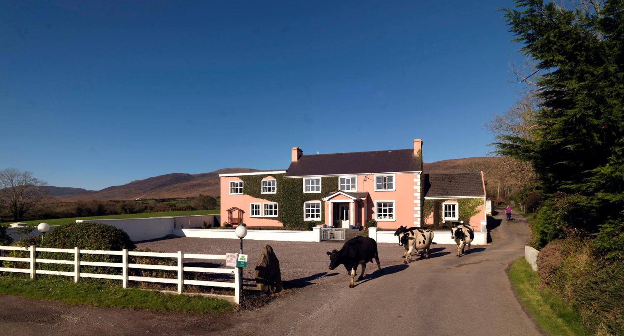 Murphys Farmhouse B&B Castlemaine Exterior photo